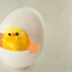 美國期刊研究:為甚麼第一印象比你想的還重要